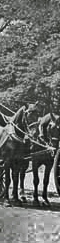 Horse Drawn Appliances 1905