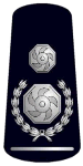 DCFO Rank Markings